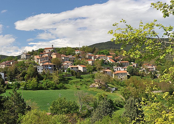 Montalone